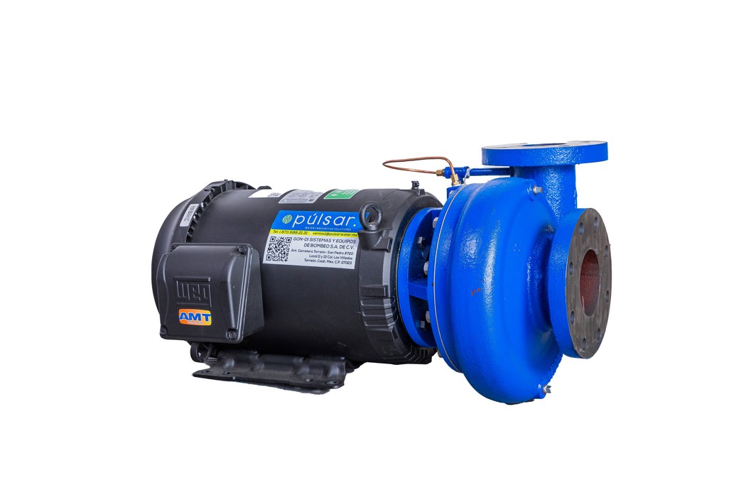 Bomba Centrífuga 15 HP 4"x3" Bridada 220/440v 3F Impulsor Acero Inox 4282-95 AMT