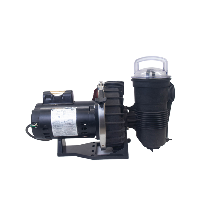 Bomba para alberca 3/4 Hp 110/220V 1F Challenger Pentair