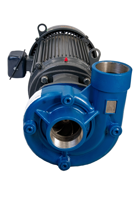 Bomba Centrífuga 10 HP Acero Inoxidable 230/460 V 3F  3"x 3" 4261-98 AMT