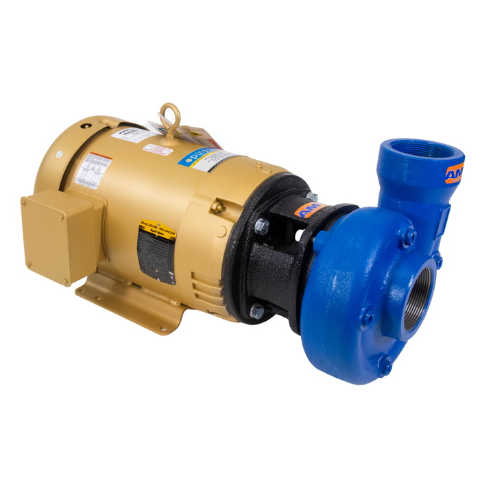 Bomba Centrífuga 10 HP 220/440V 3F Motor Premium 3"x 3" 4261-95 AMT