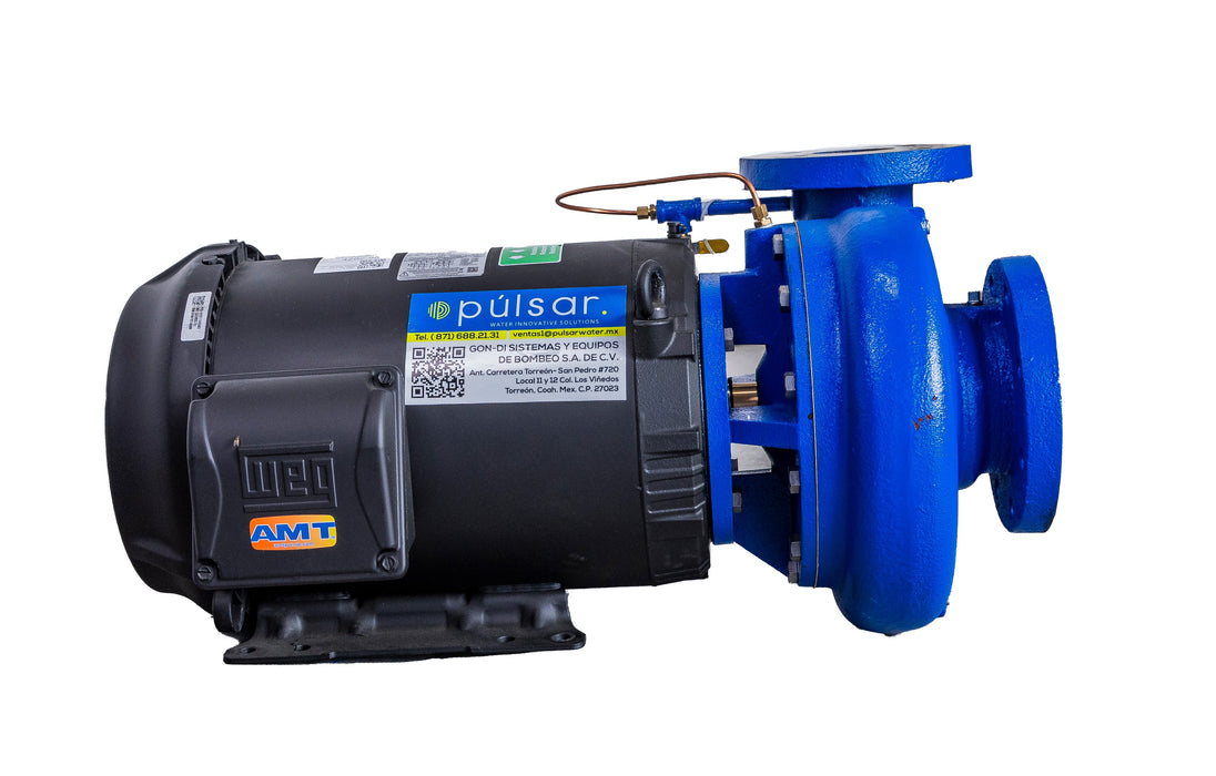 Bomba Centrífuga 15 HP 4"x3" Bridada 220/440v 3F Impulsor Acero Inox 4282-95 AMT
