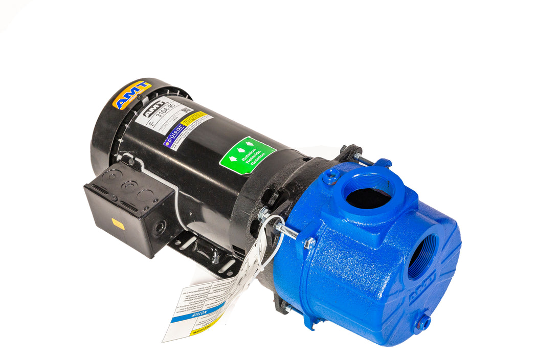 Bomba Autocebante 3 HP 220/440V 3F 316A-95 AMT